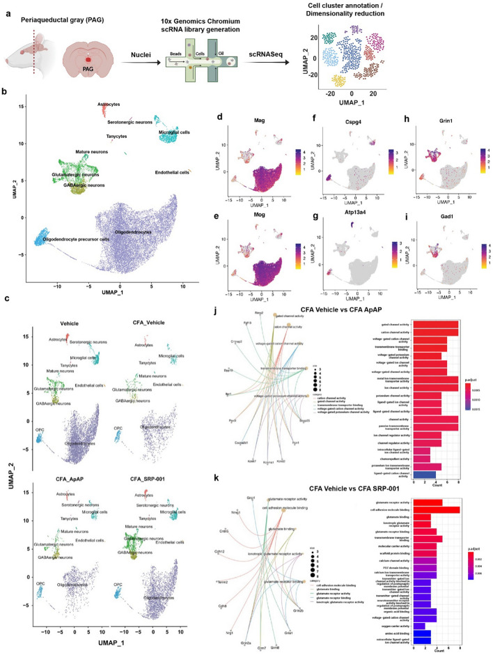 PMC11096368 – Fig4