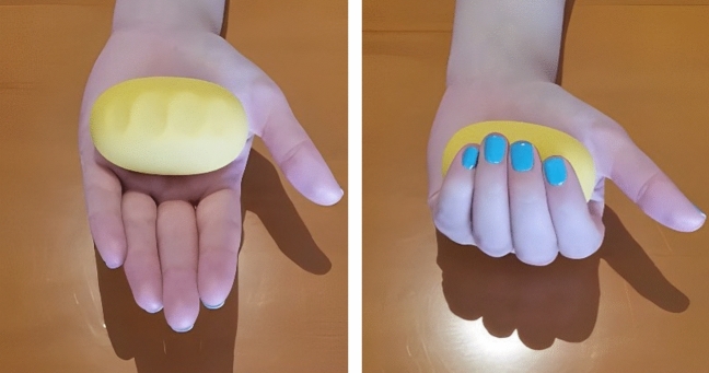 PMC11116491 – Fig3