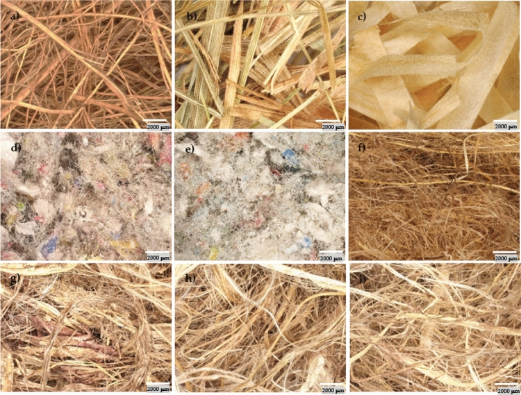 PMC11143232 – Fig6