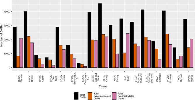 PMC11183203 – Fig1