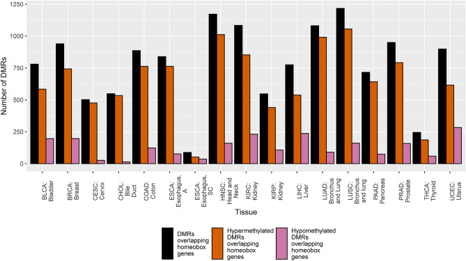 PMC11183203 – Fig2
