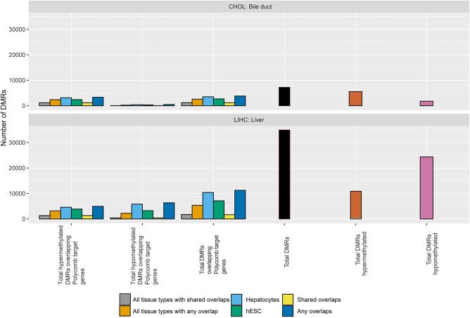 PMC11183203 – Fig4