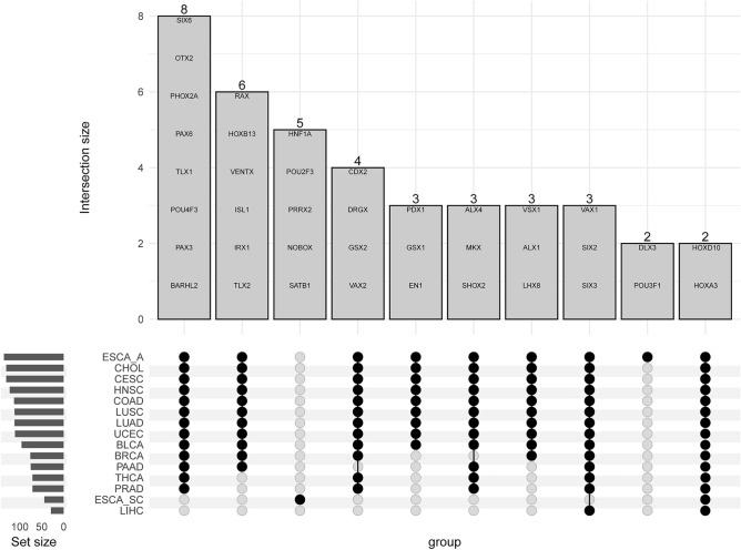 PMC11183203 – Fig5