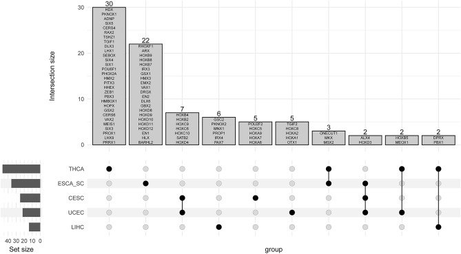 PMC11183203 – Fig7