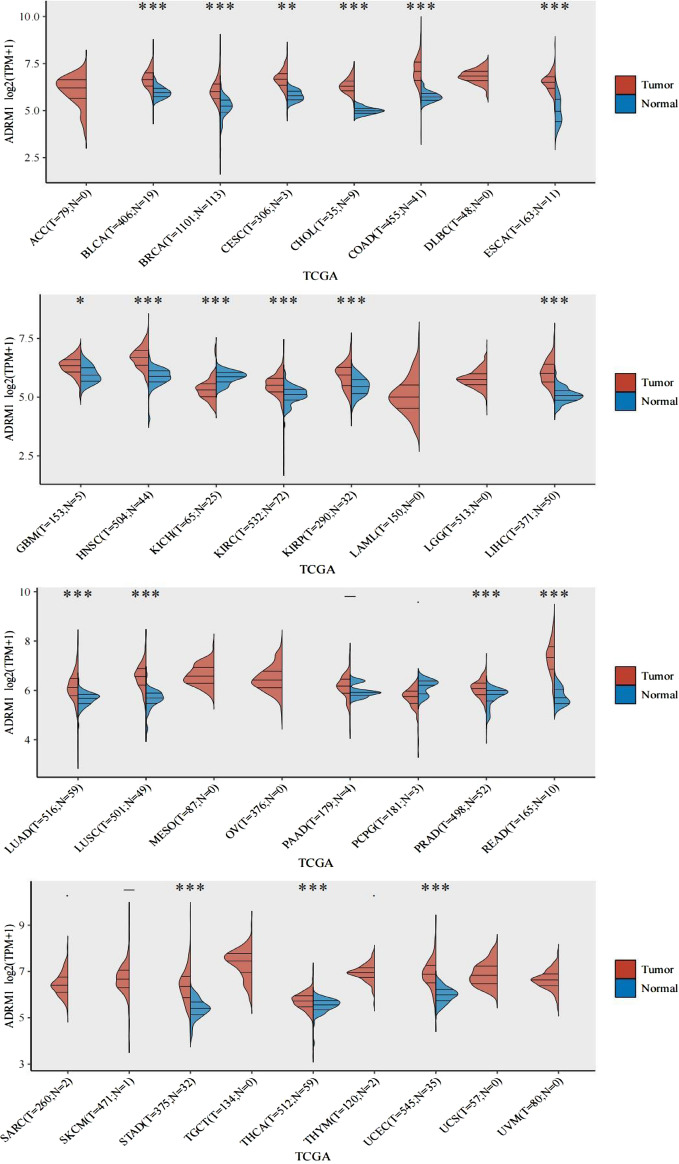 PMC11189539 – Fig1