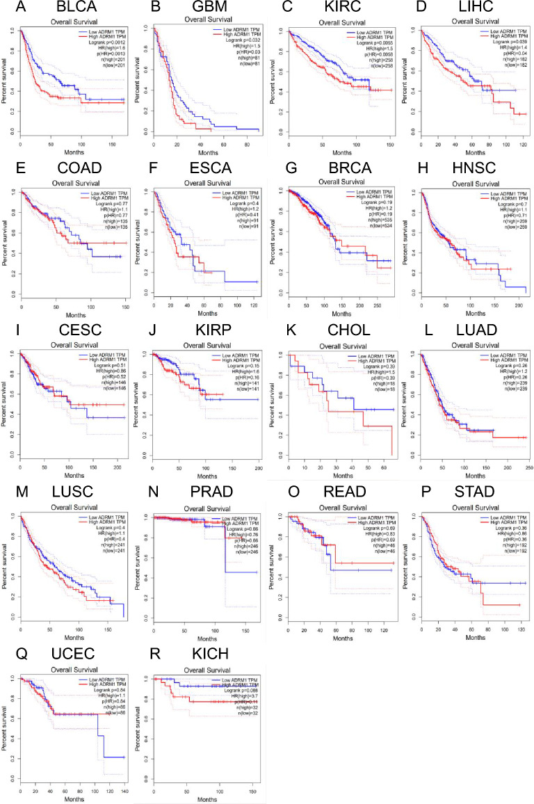 PMC11189539 – Fig2