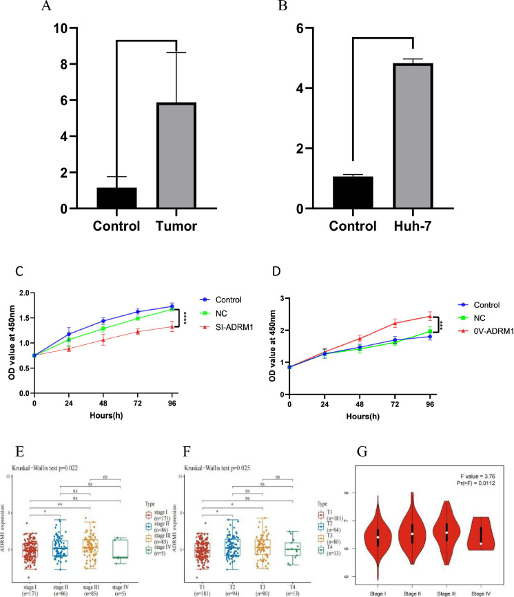 PMC11189539 – Fig3