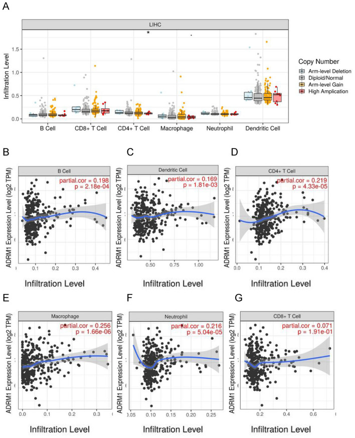 PMC11189539 – Fig5
