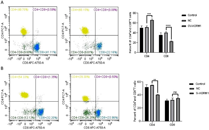 PMC11189539 – Fig6