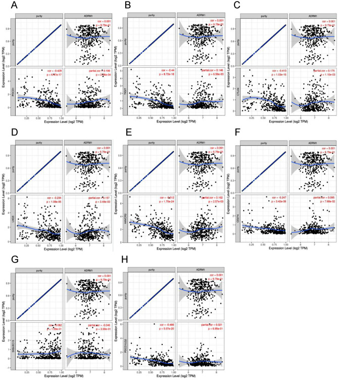 PMC11189539 – Fig7