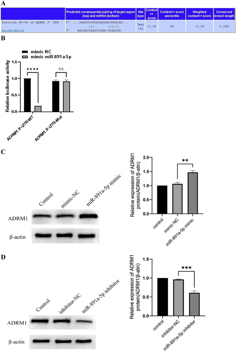 PMC11189539 – Fig8