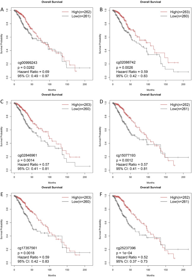 PMC11199703 – Fig10
