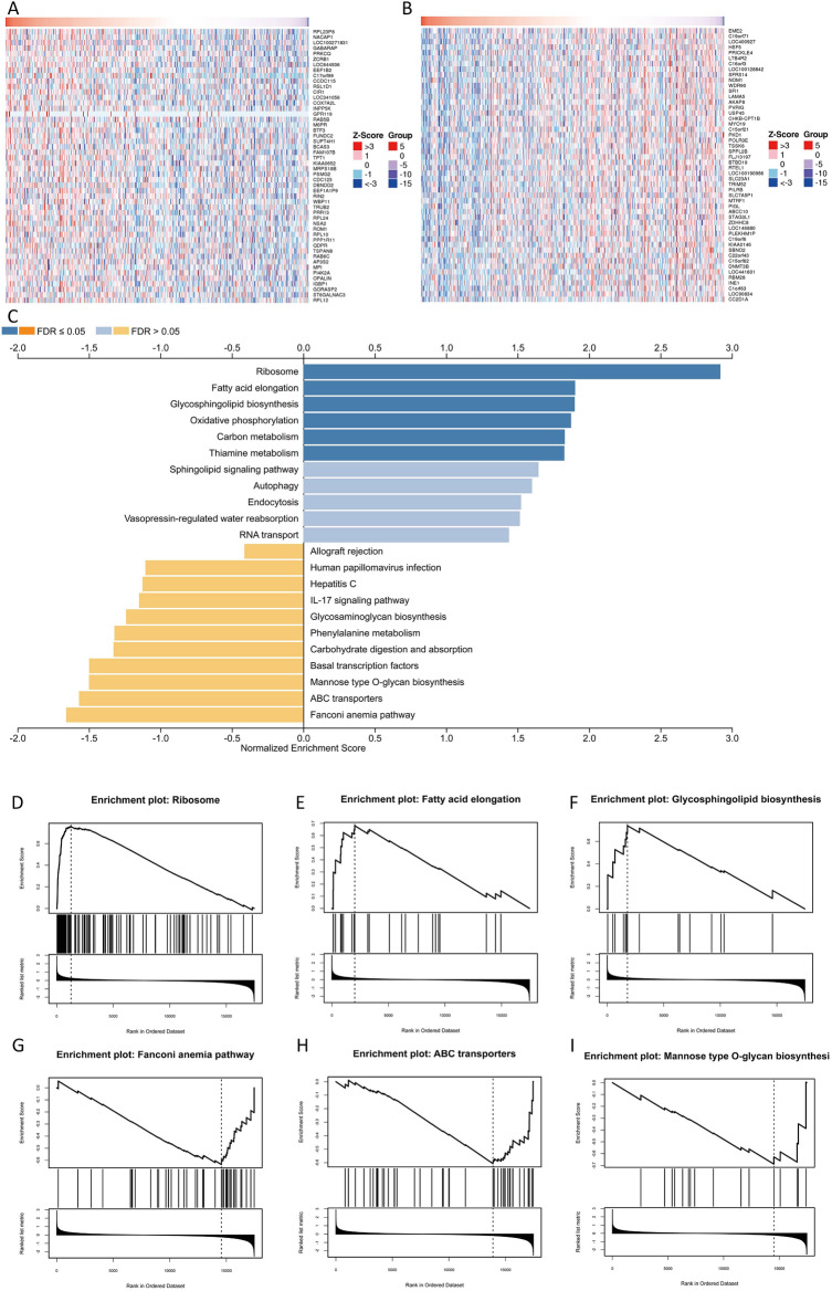 PMC11199703 – Fig11