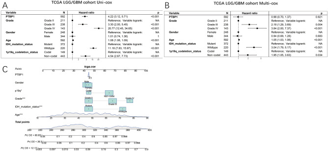 PMC11199703 – Fig13