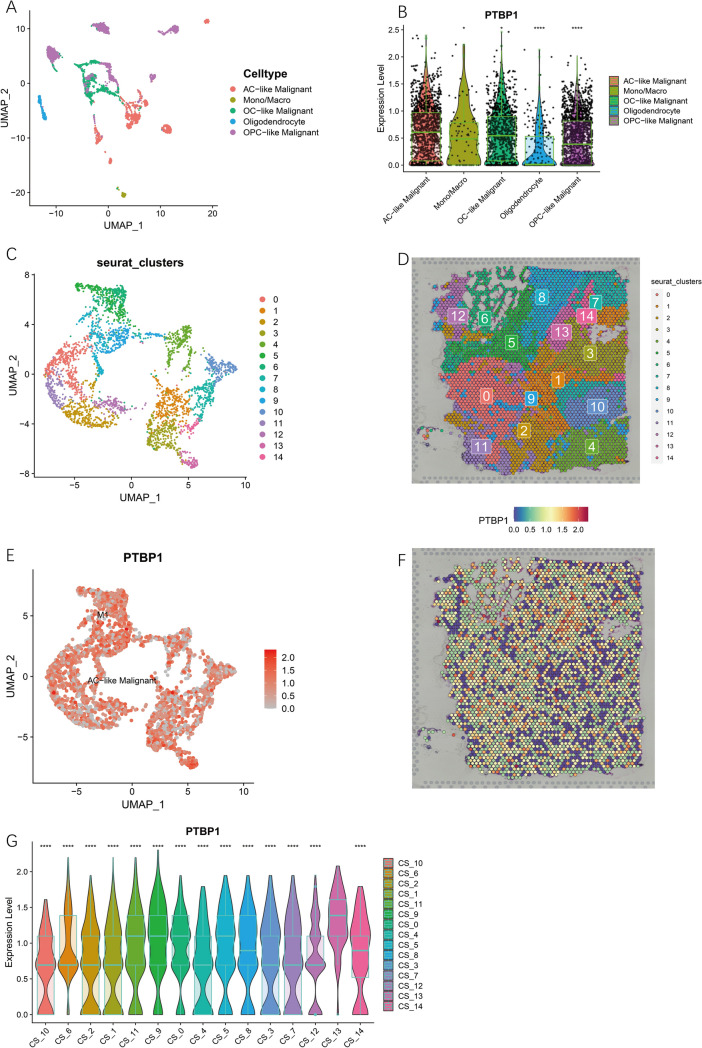 PMC11199703 – Fig14