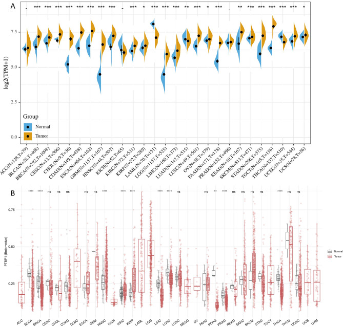 PMC11199703 – Fig1
