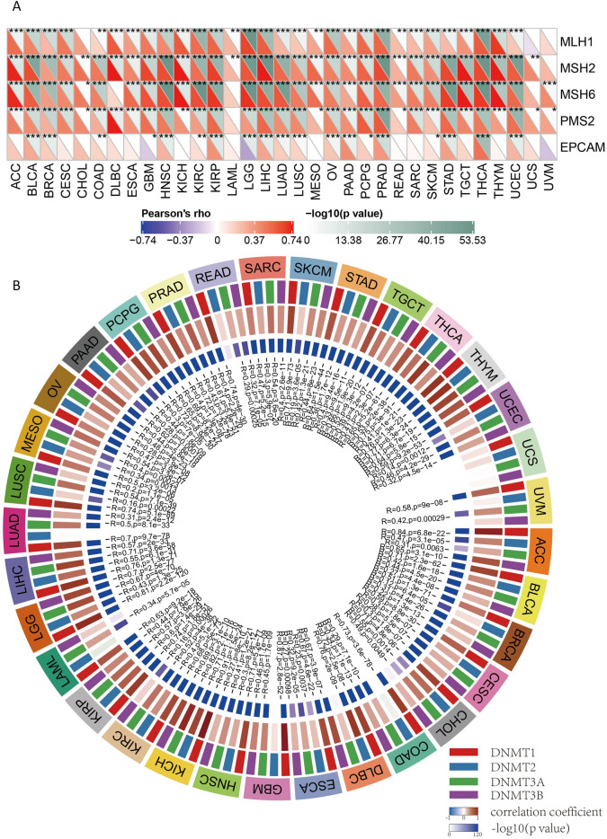 PMC11199703 – Fig2