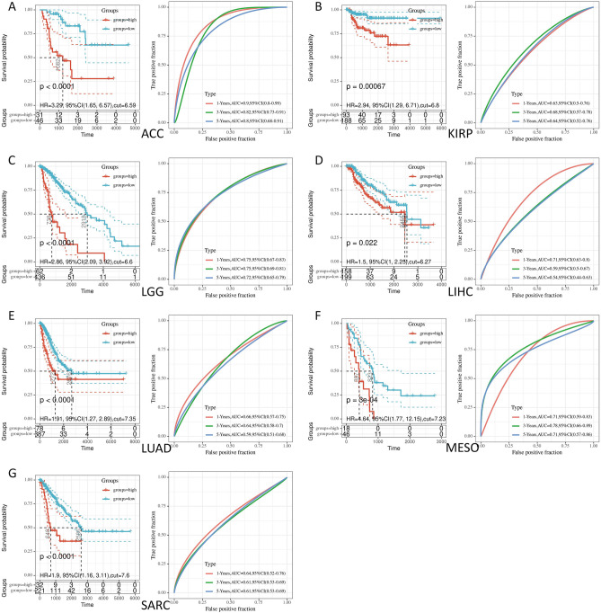 PMC11199703 – Fig5