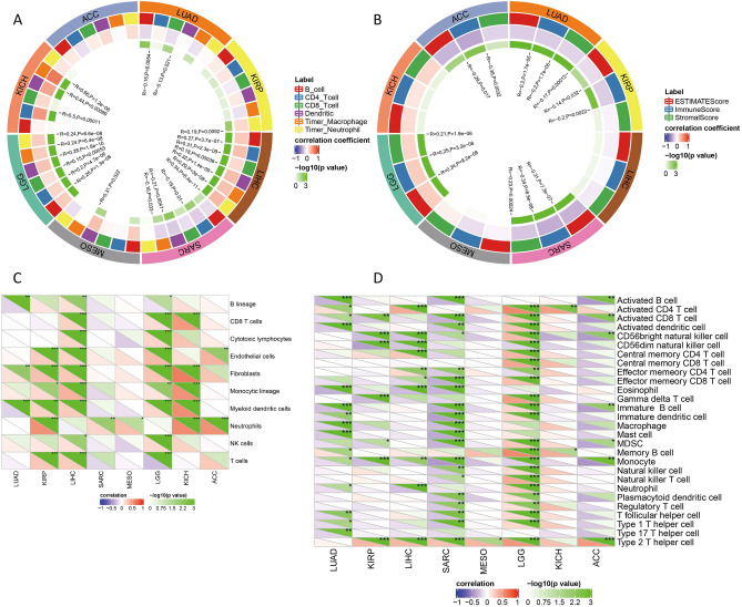 PMC11199703 – Fig6