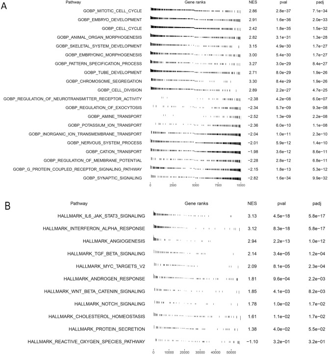 PMC11199703 – Fig7