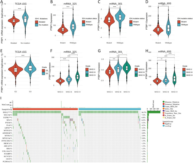 PMC11199703 – Fig8