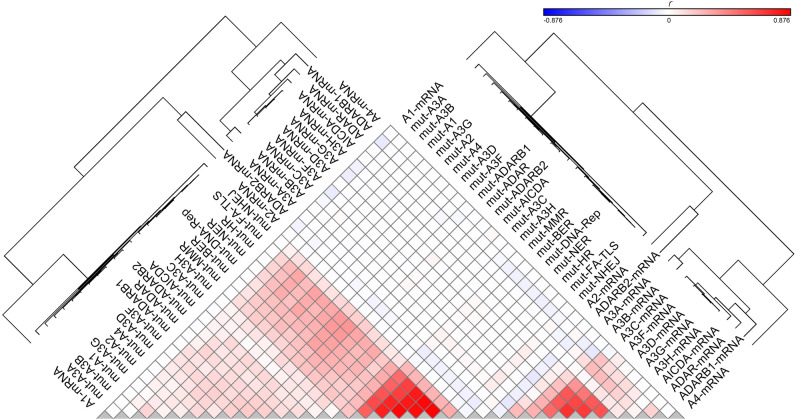 PMC11224270 – Fig1