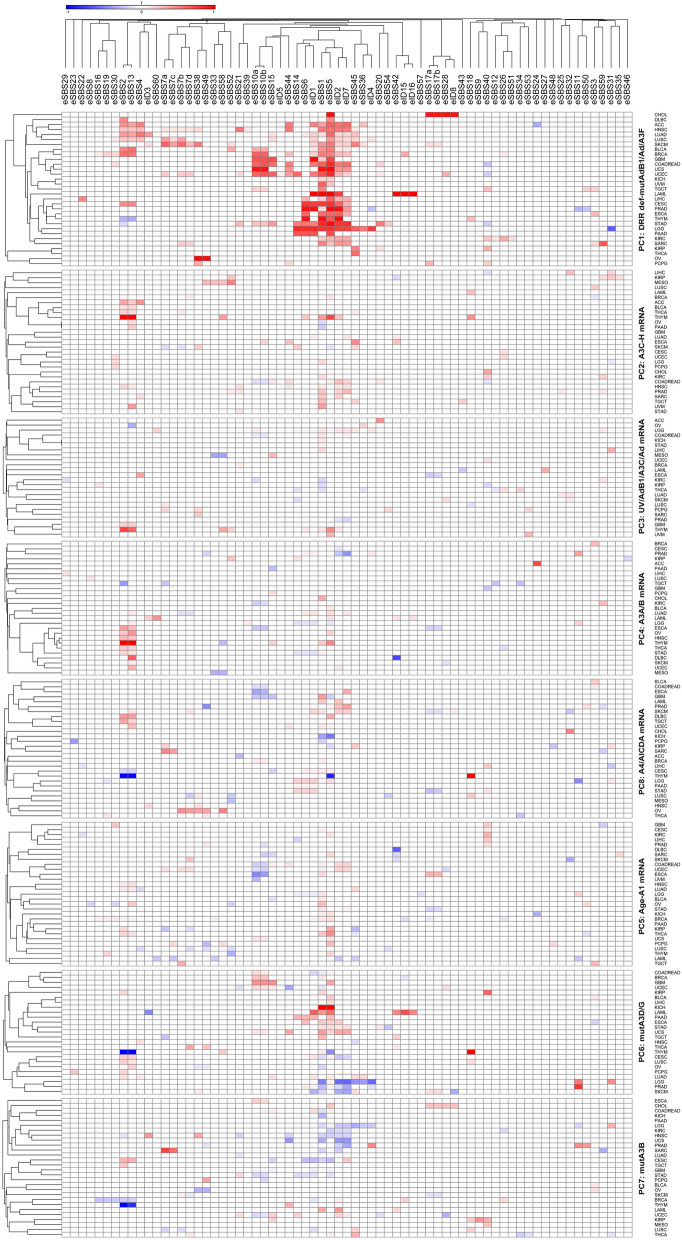 PMC11224270 – Fig4