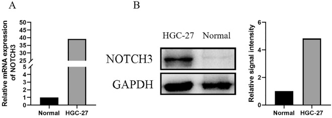 PMC11192884 – Fig1