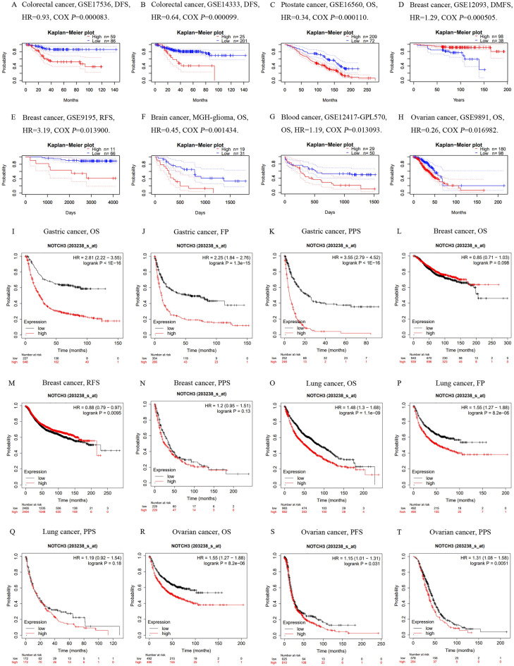PMC11192884 – Fig3