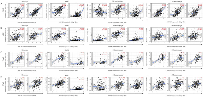 PMC11192884 – Fig5