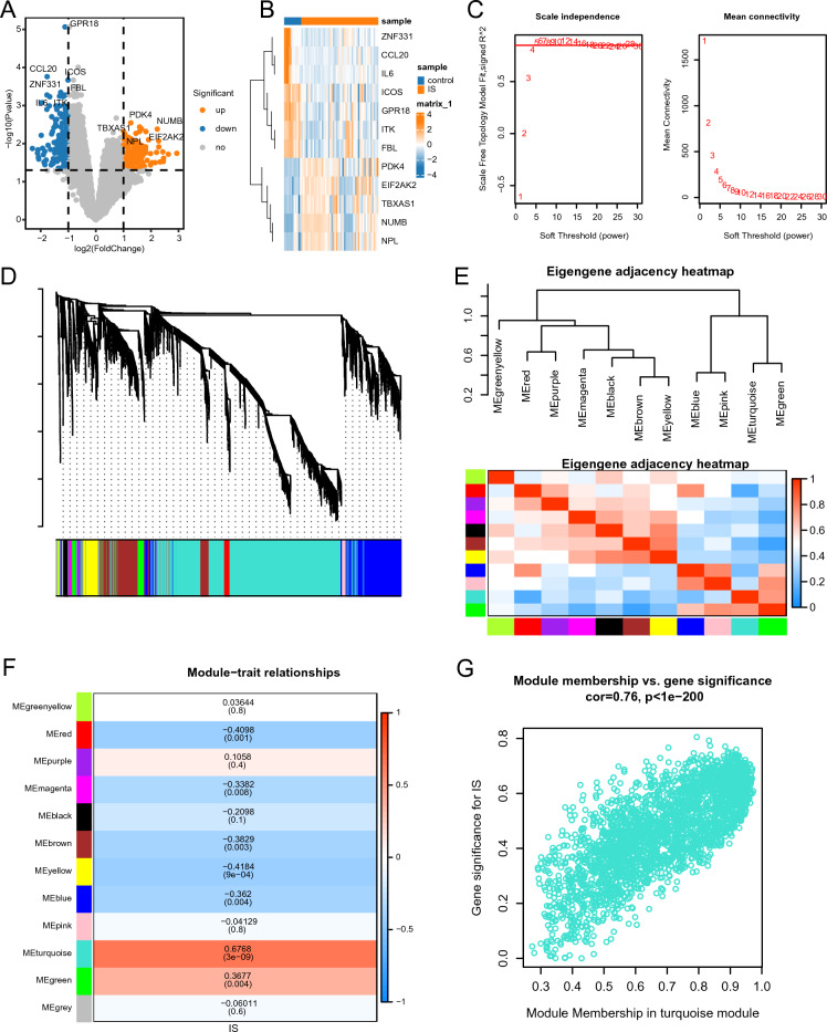 PMC11196739 – Fig1