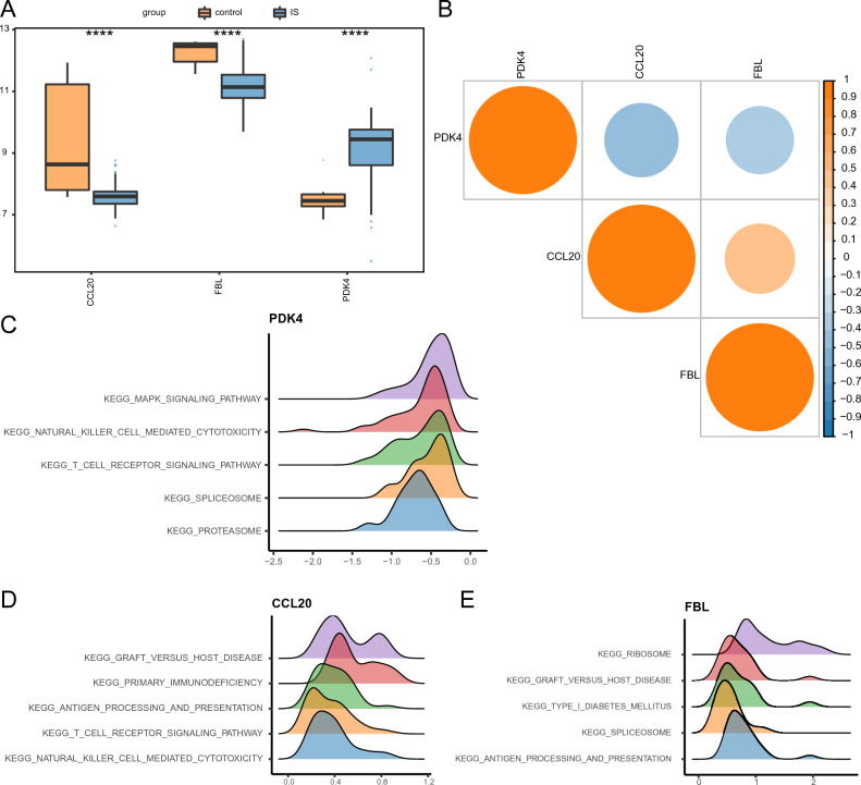 PMC11196739 – Fig3