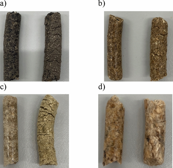 PMC11220053 – Fig2