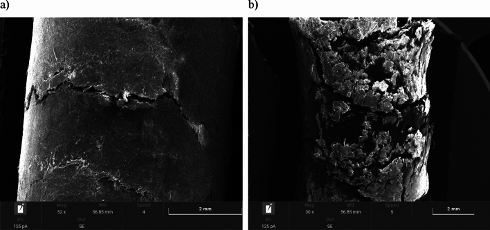 PMC11220053 – Fig6