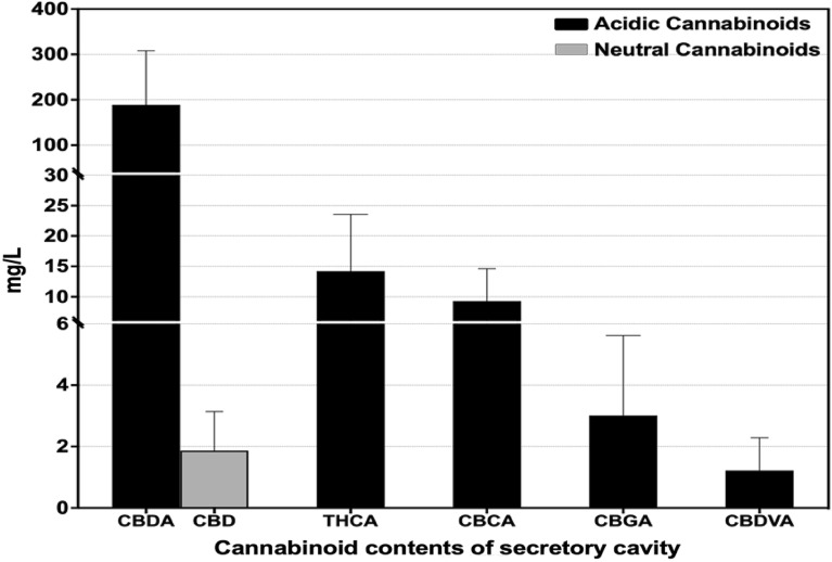 PMC11252385 – Fig2