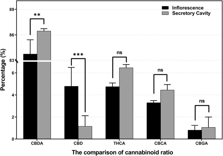 PMC11252385 – Fig4