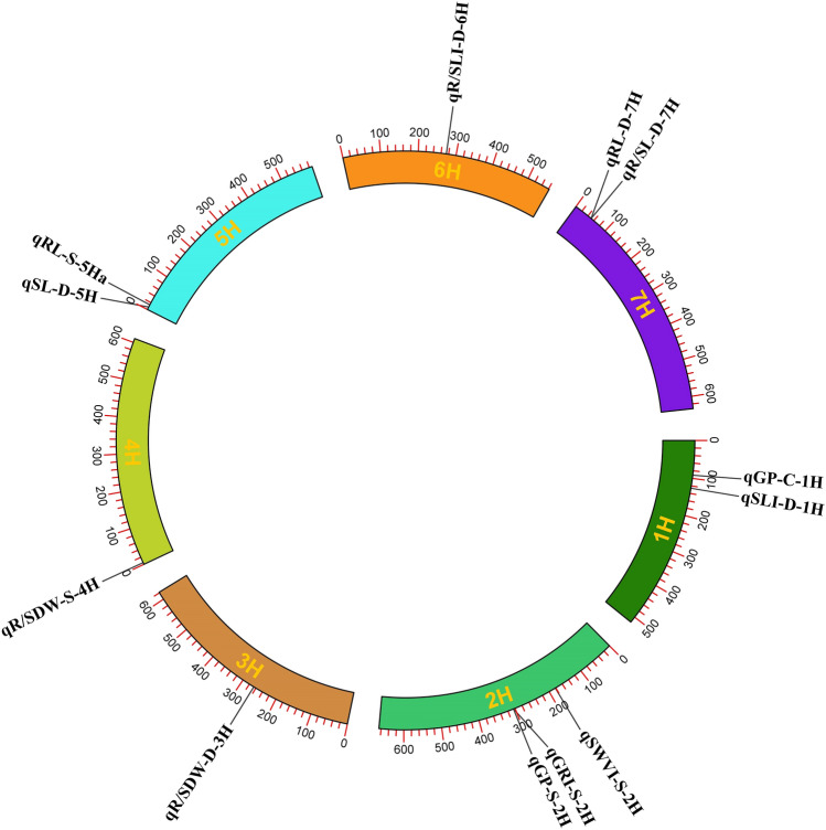 PMC11231201 – Fig1
