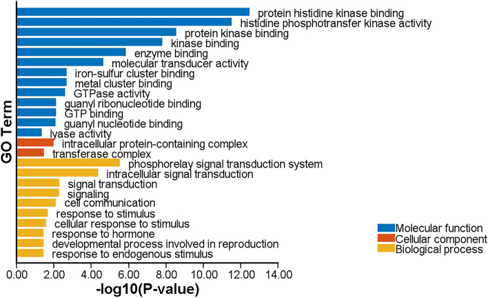 PMC11231201 – Fig2