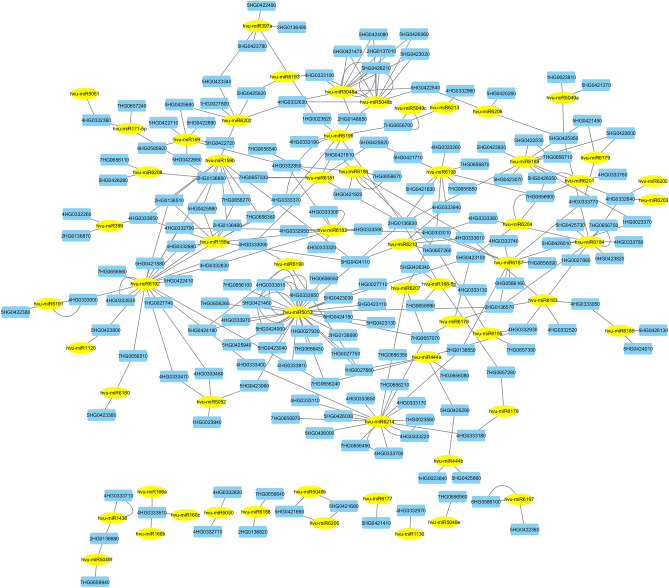 PMC11231201 – Fig5