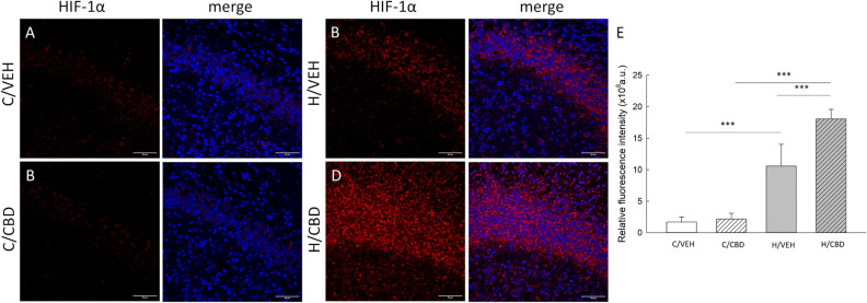 PMC11237132 – Fig4