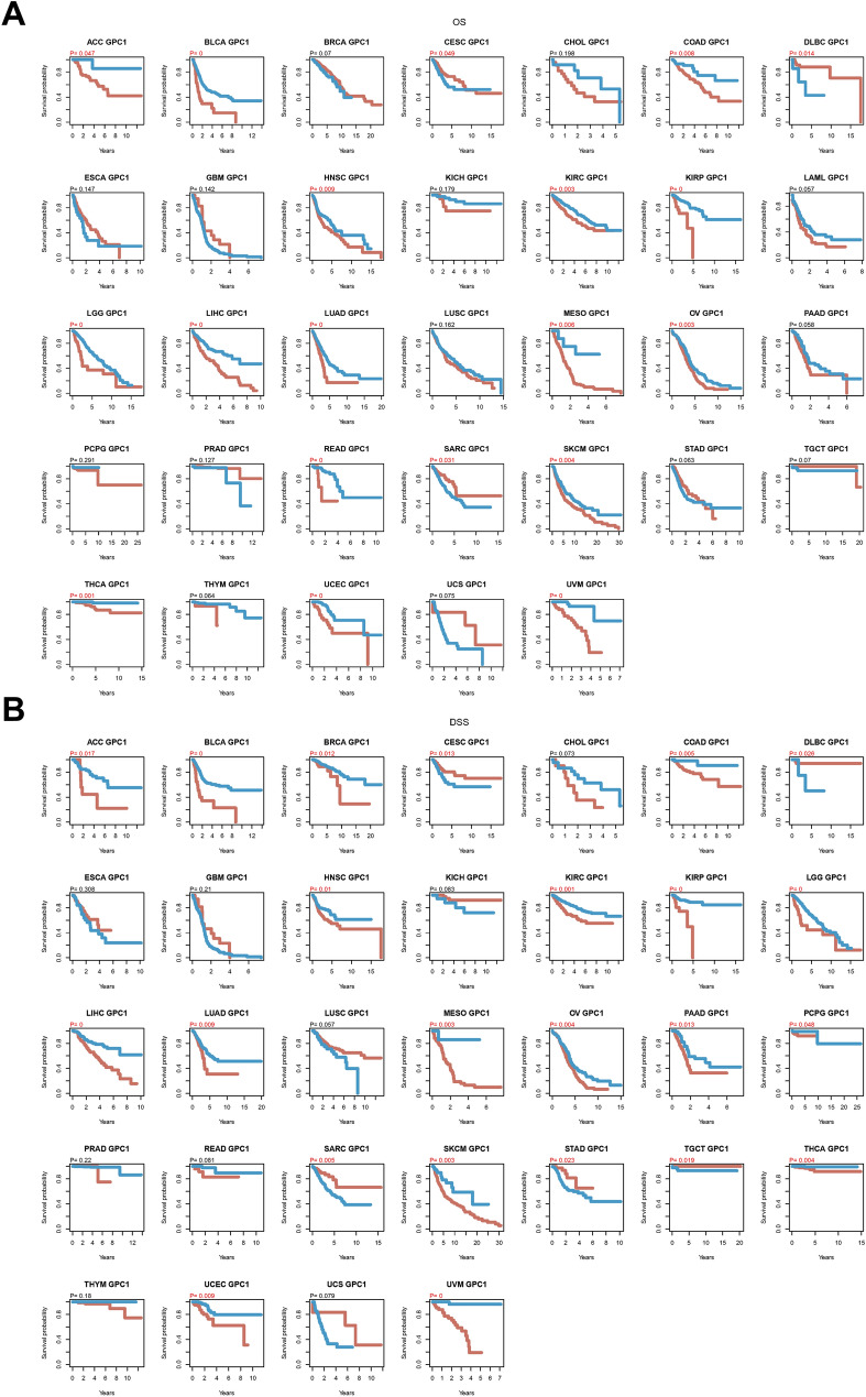 PMC11233571 – Fig2