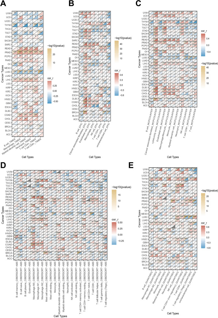 PMC11233571 – Fig4