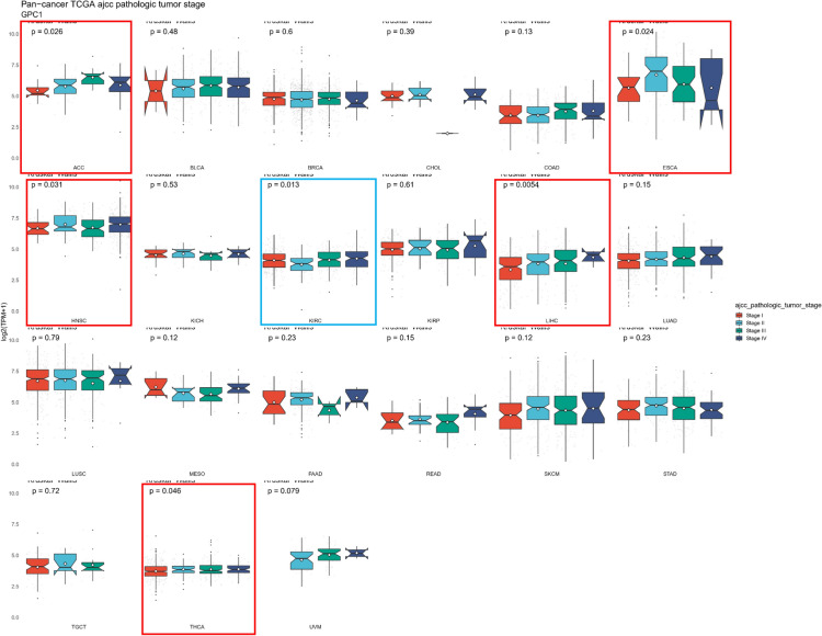 PMC11233571 – Fig5