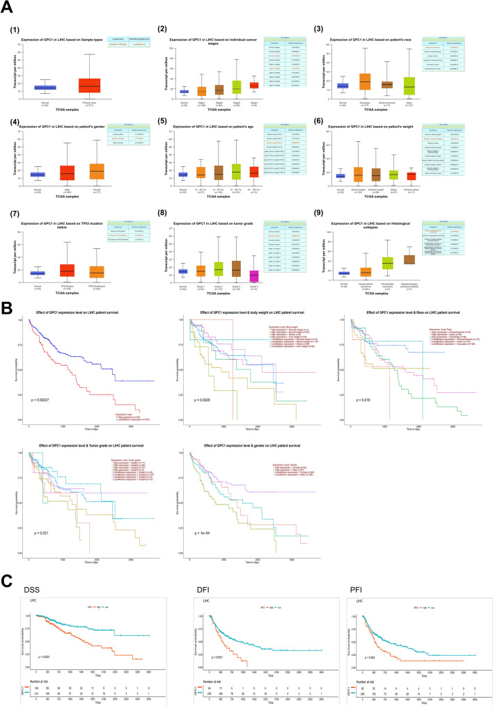 PMC11233571 – Fig6