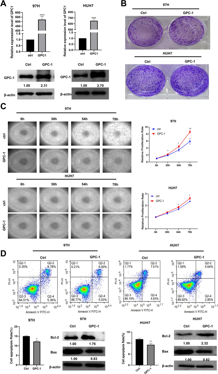 PMC11233571 – Fig8
