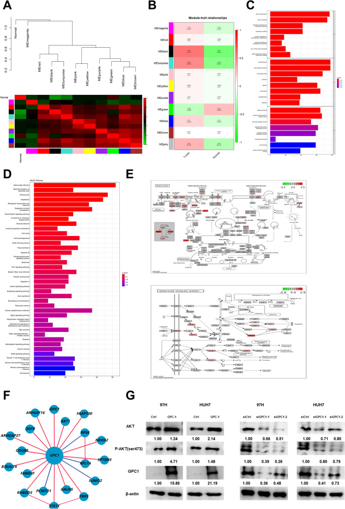 PMC11233571 – Fig9