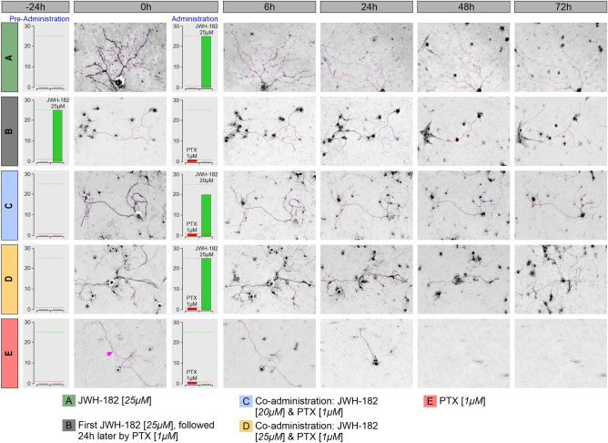 PMC11247095 – Fig2