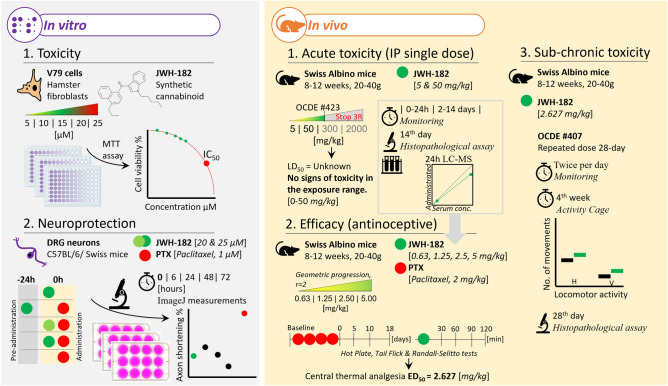 PMC11247095 – Fig6