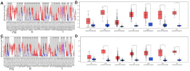 PMC11269704 – Fig1
