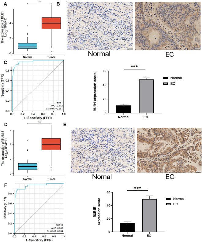 PMC11269704 – Fig2